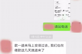 新平为什么选择专业追讨公司来处理您的债务纠纷？